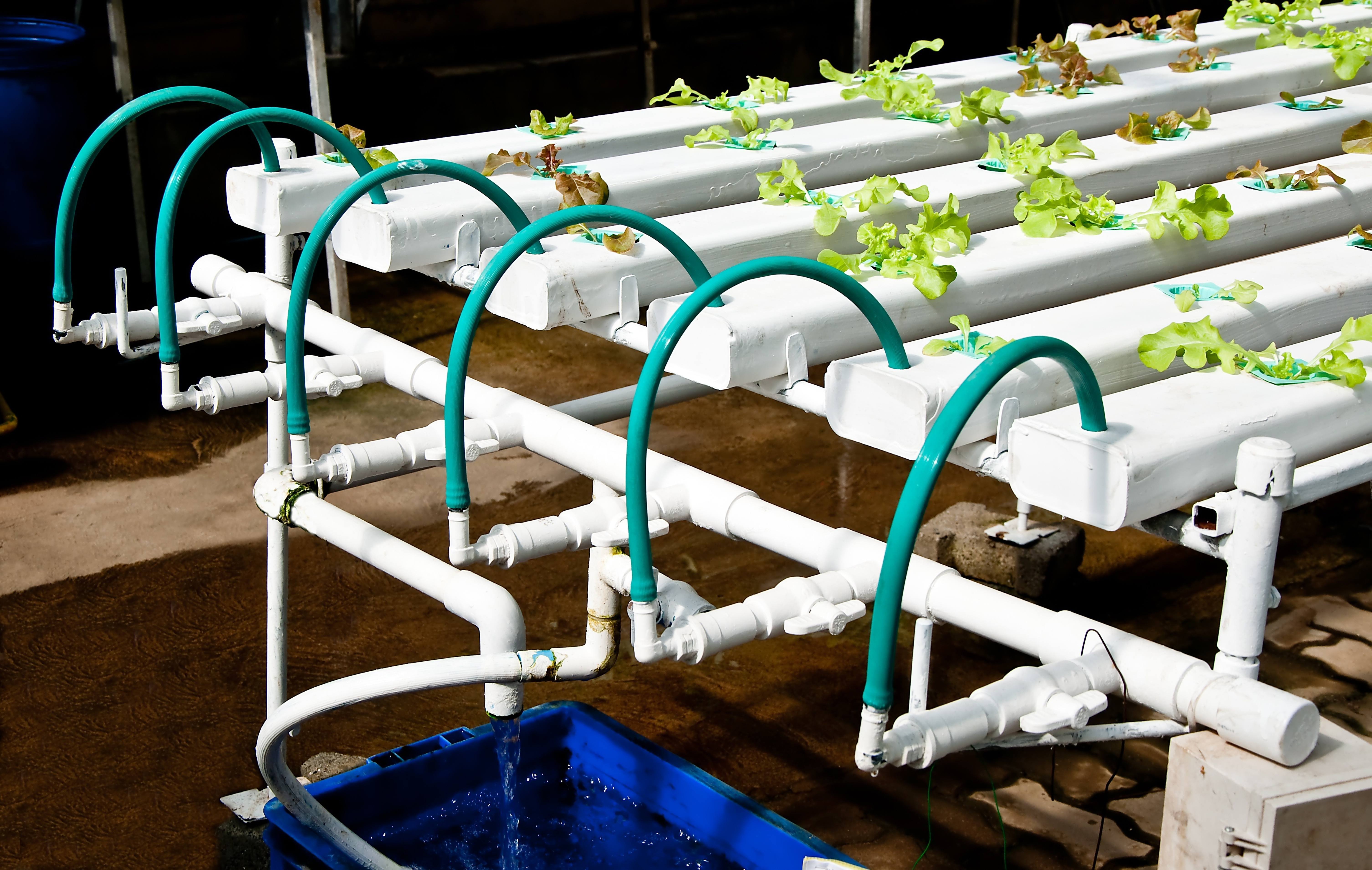 Hydroponics Kits Central Coast