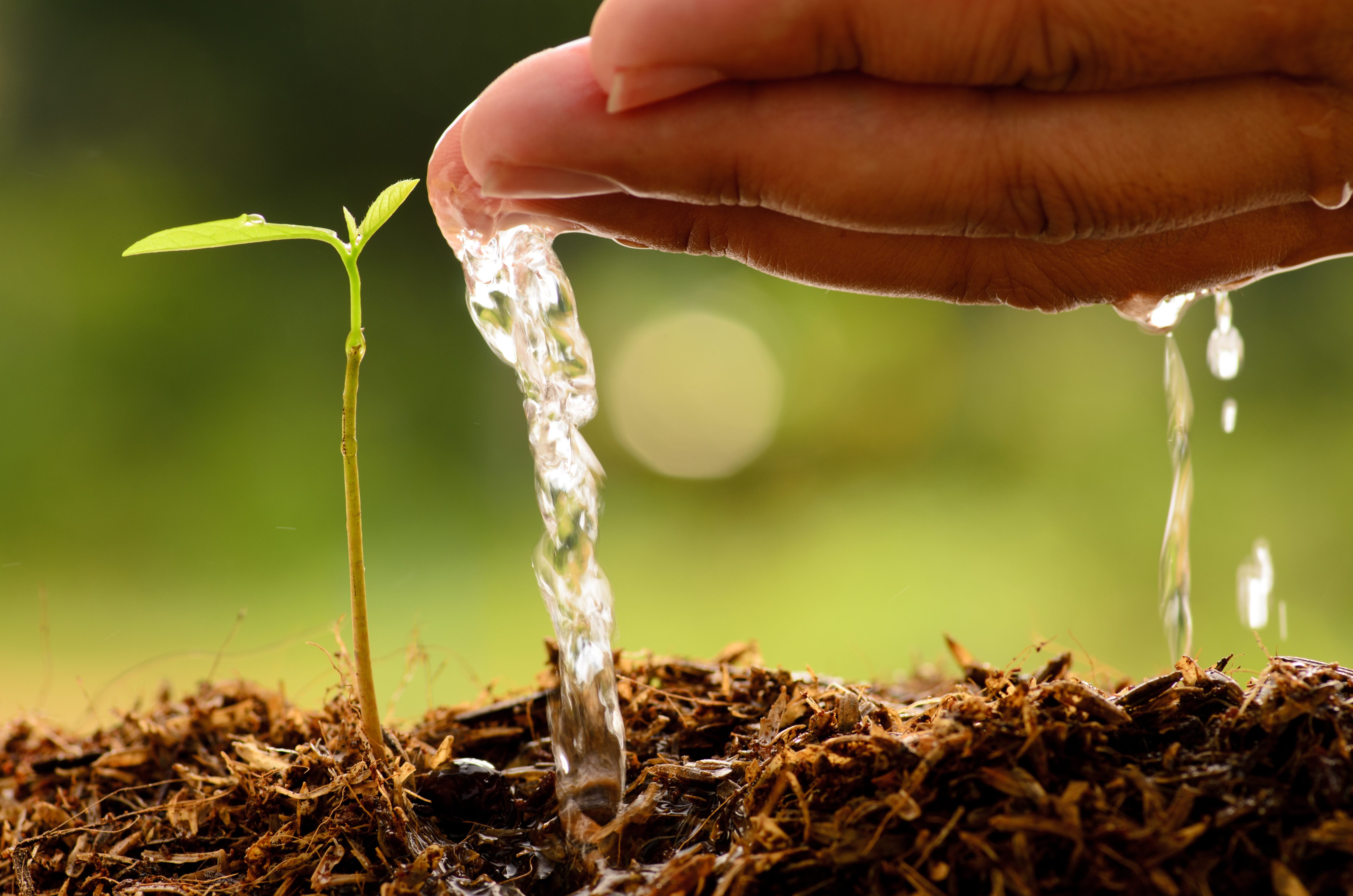 Water Purification Systems for Agriculture applications